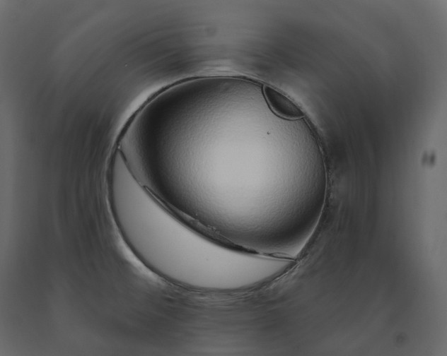 X0000091561476200708241805