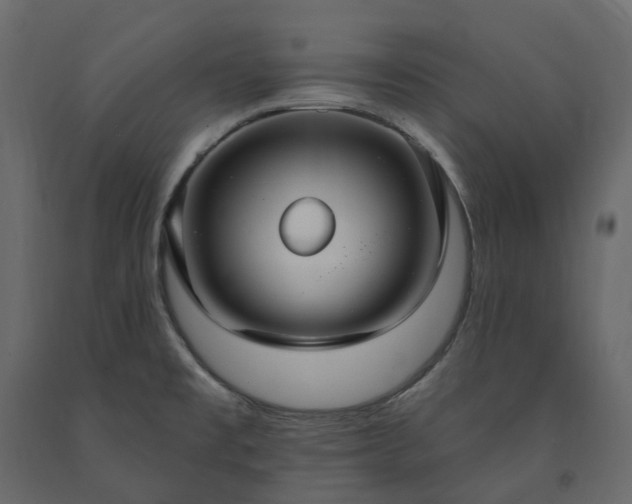 X0000091561477200708241805