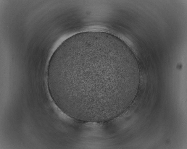 X0000091561478200708241805