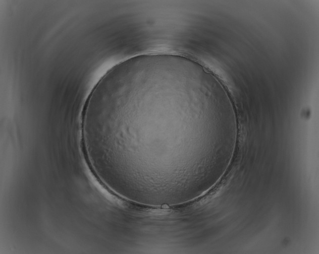 X0000091561479200708241805