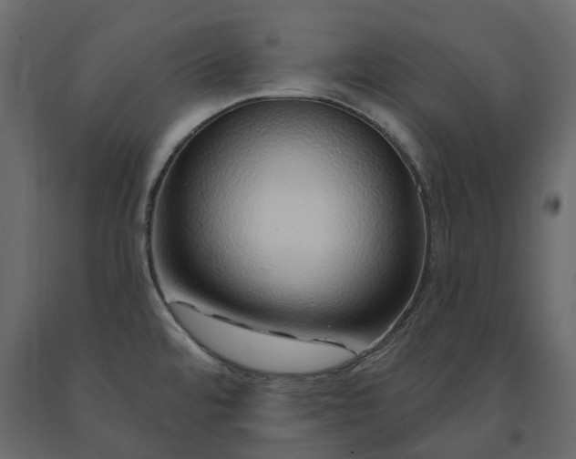 X0000091561480200708241805