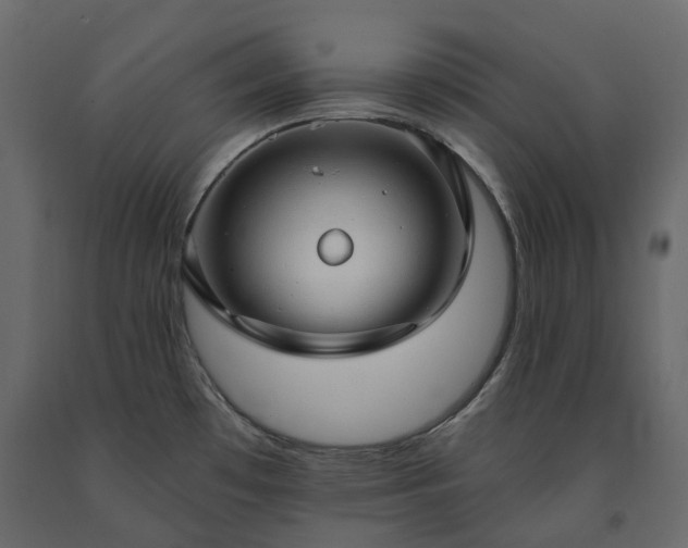 X0000091561481200708241805