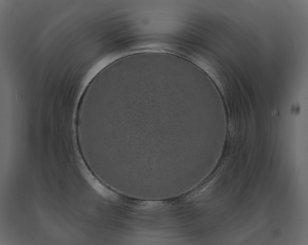 X0000091561482200708241805