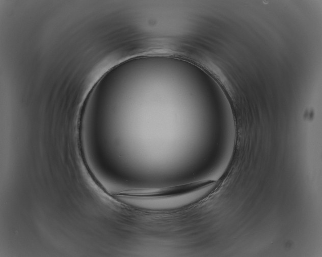 X0000091561483200708241805