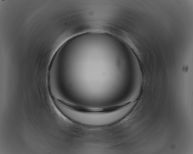 X0000091561484200708241805