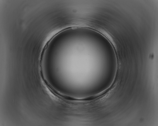 X0000091561485200708241805