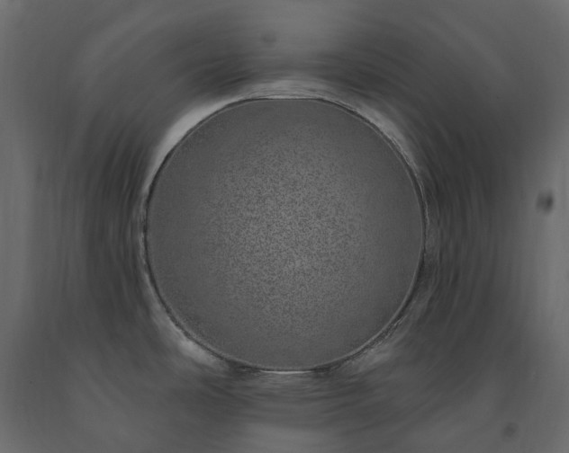 X0000091561486200708241805