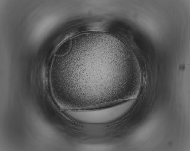 X0000091561487200708241805