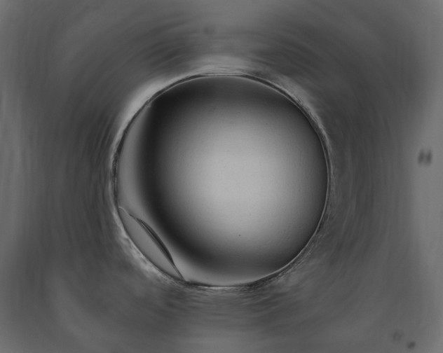 X0000091561488200708241805