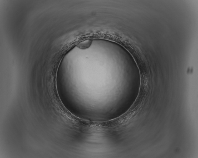 X0000091561489200708241805