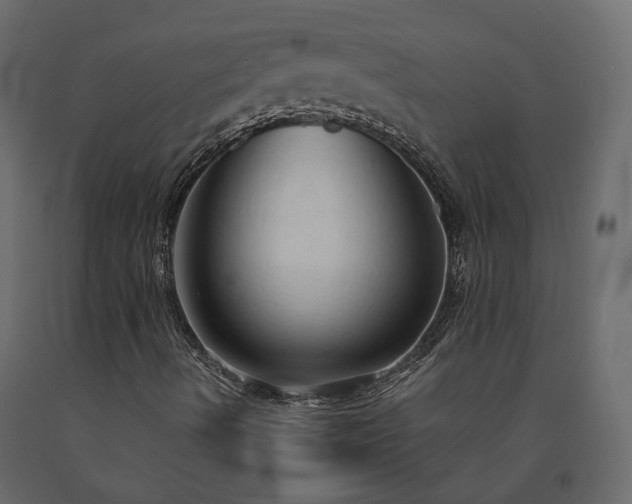 X0000091561490200708241805