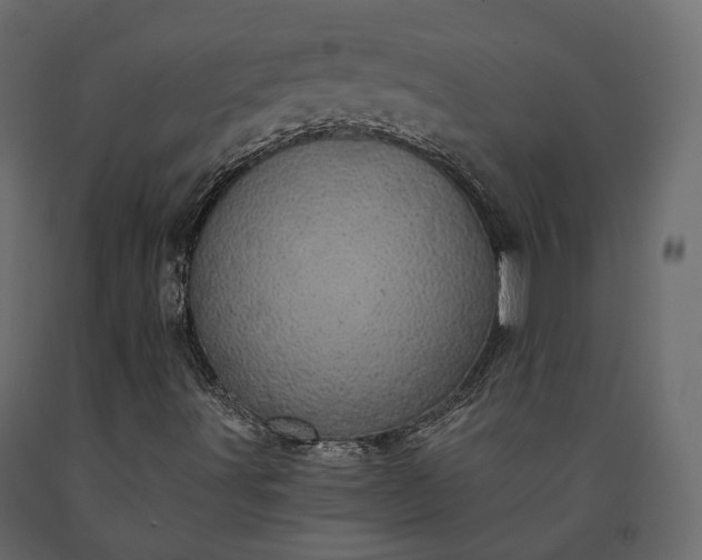 X0000091561491200708241805