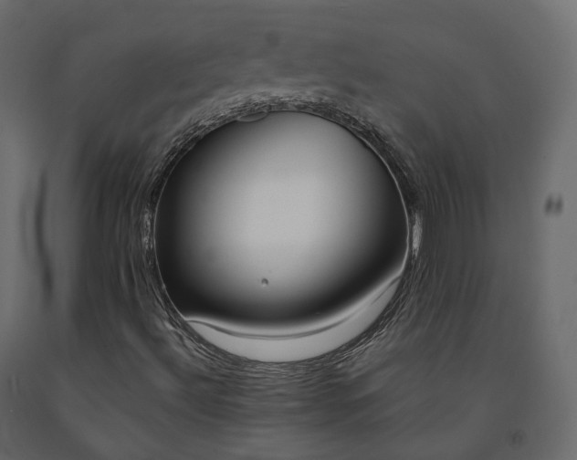 X0000091561492200708241805