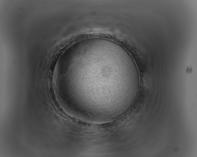 X0000091561493200708241805