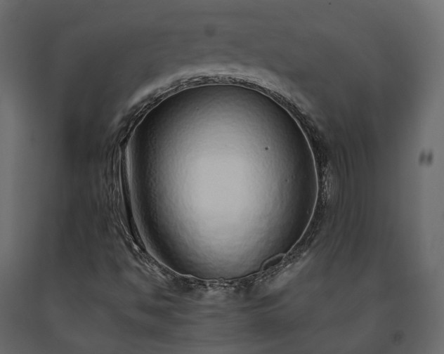 X0000091561494200708241805