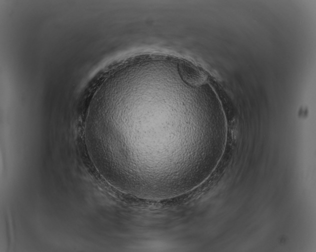 X0000091561495200708241805