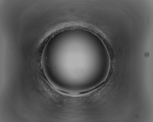 X0000091561496200708241805