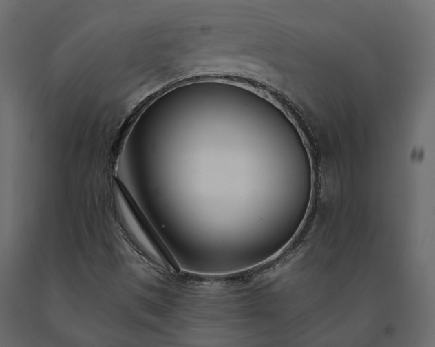 X0000091561497200708241805