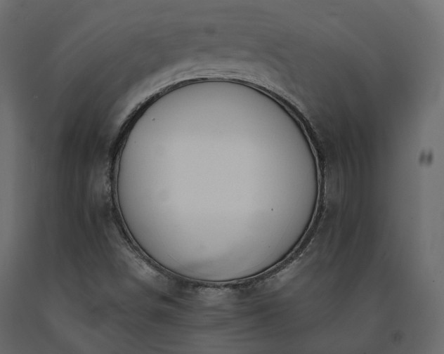 X0000091561498200708241805