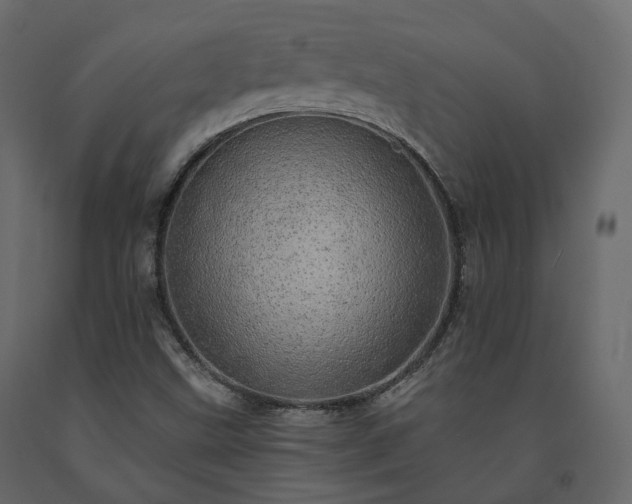 X0000091561499200708241805