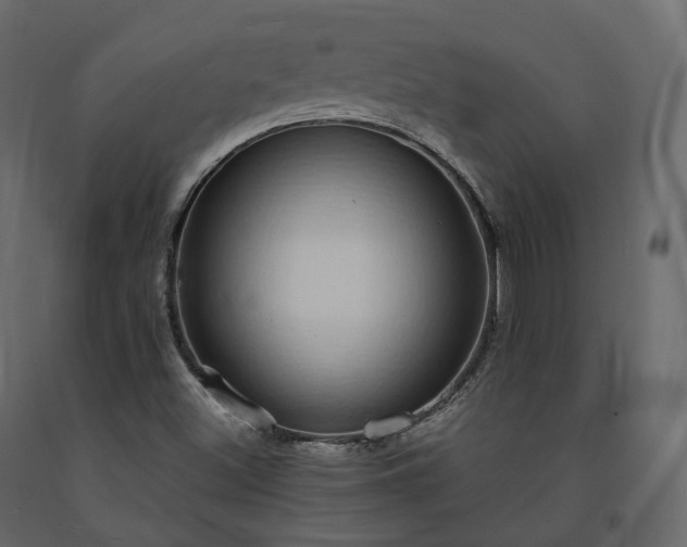 X0000091561500200708241805