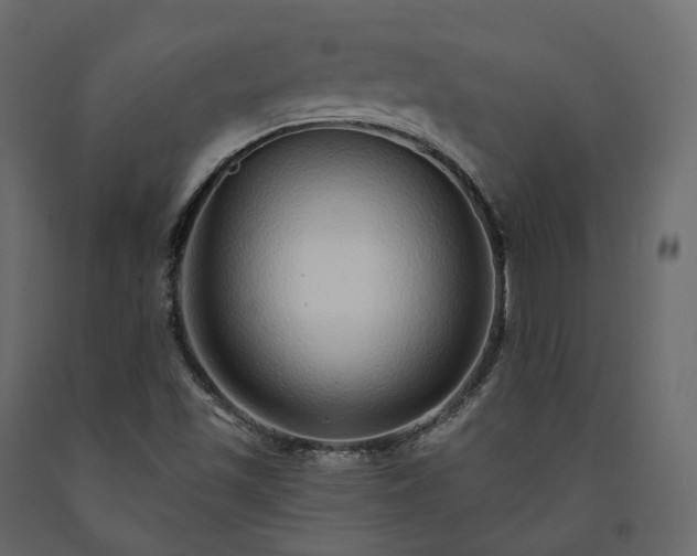 X0000091561501200708241805