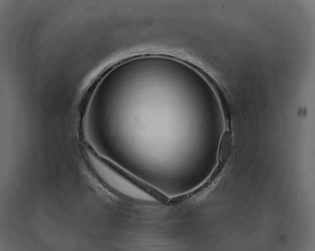 X0000091561502200708241805