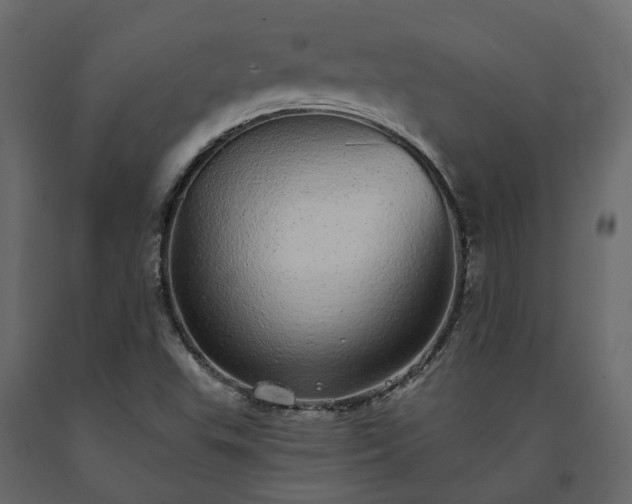 X0000091561503200708241805