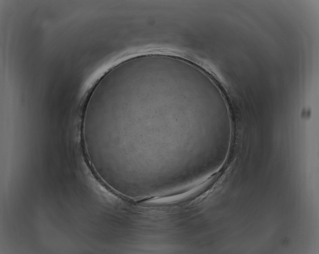 X0000091561504200708241805