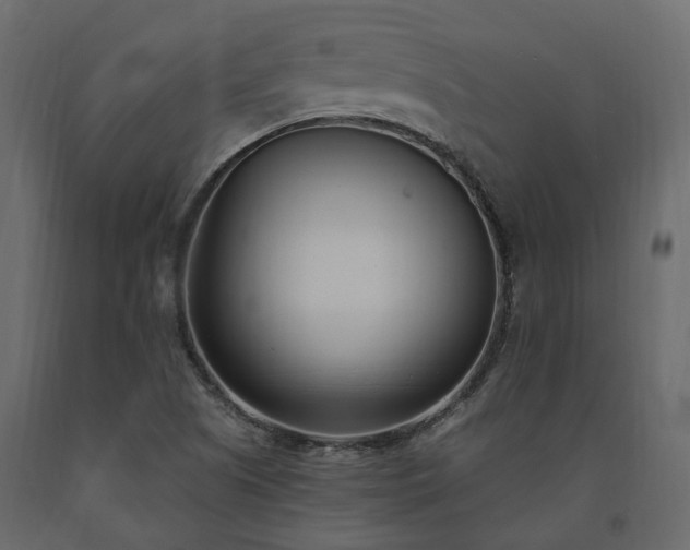 X0000091561505200708241805