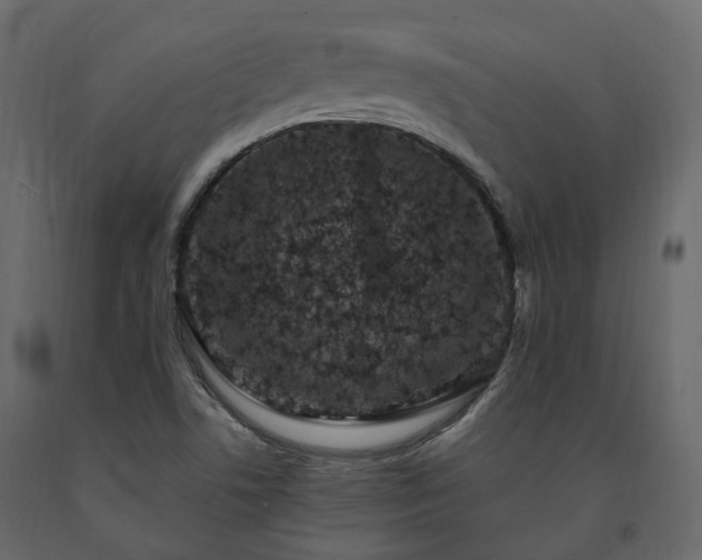 X0000091561506200708241805