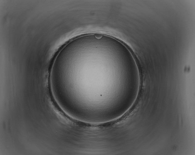 X0000091561507200708241805