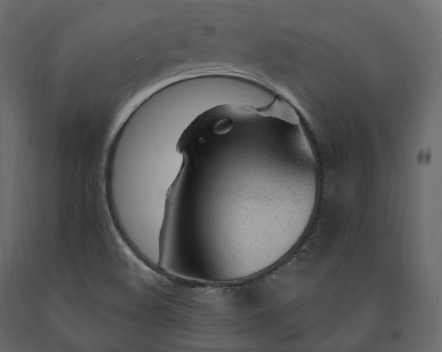 X0000091561508200708241805