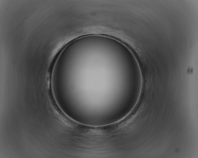 X0000091561509200708241805