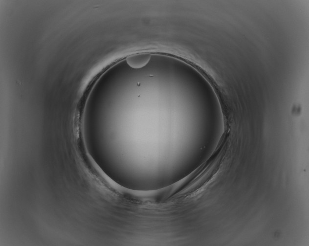 X0000091561510200708241805