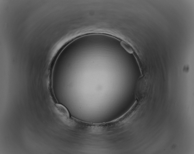 X0000091561511200708241805