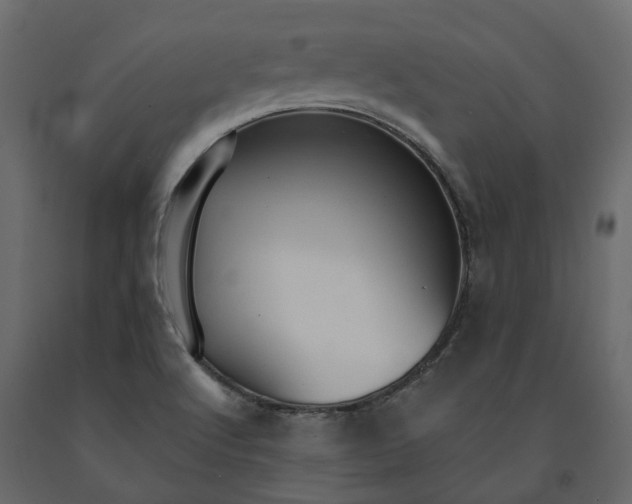 X0000091561512200708241805