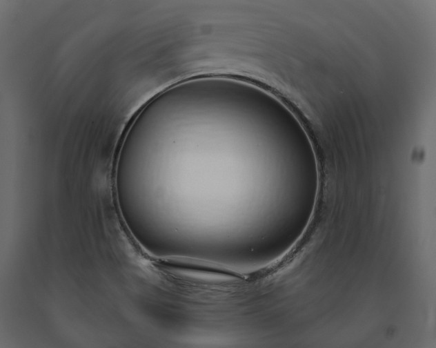 X0000091561513200708241805