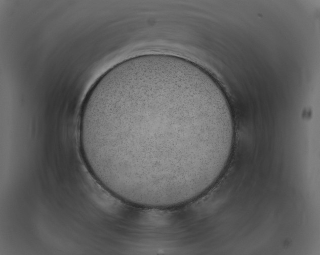 X0000091561514200708241805