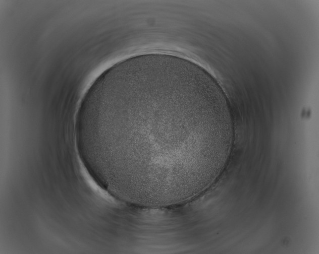 X0000091561515200708241805