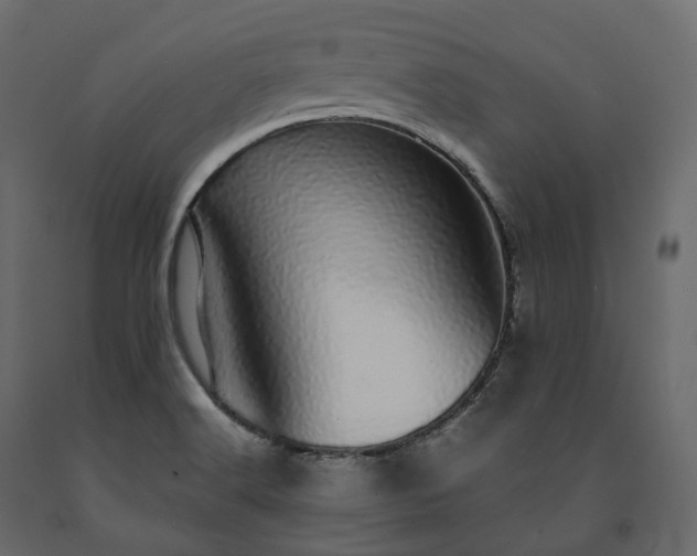 X0000091561516200708241805