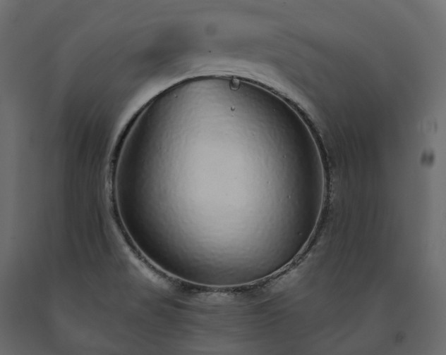 X0000091561517200708241805