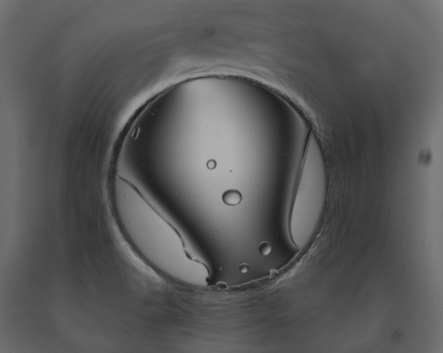 X0000091561518200708241805