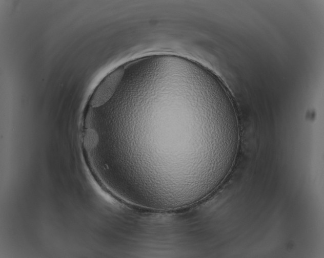 X0000091561519200708241805