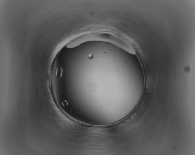 X0000091561520200708241805