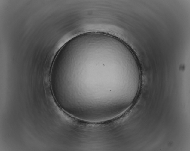 X0000091561521200708241805