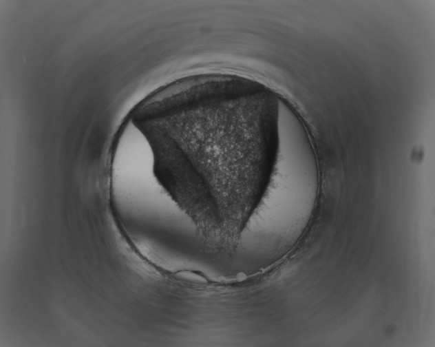 X0000091561522200708241805