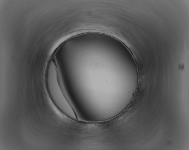 X0000091561523200708241805