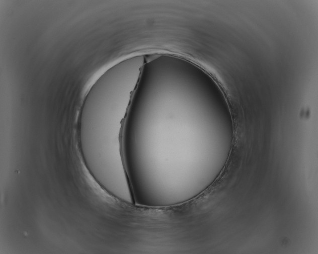 X0000091561524200708241805