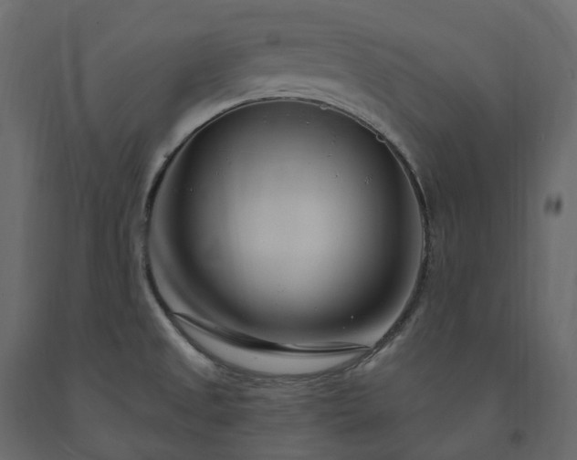 X0000091561525200708241805